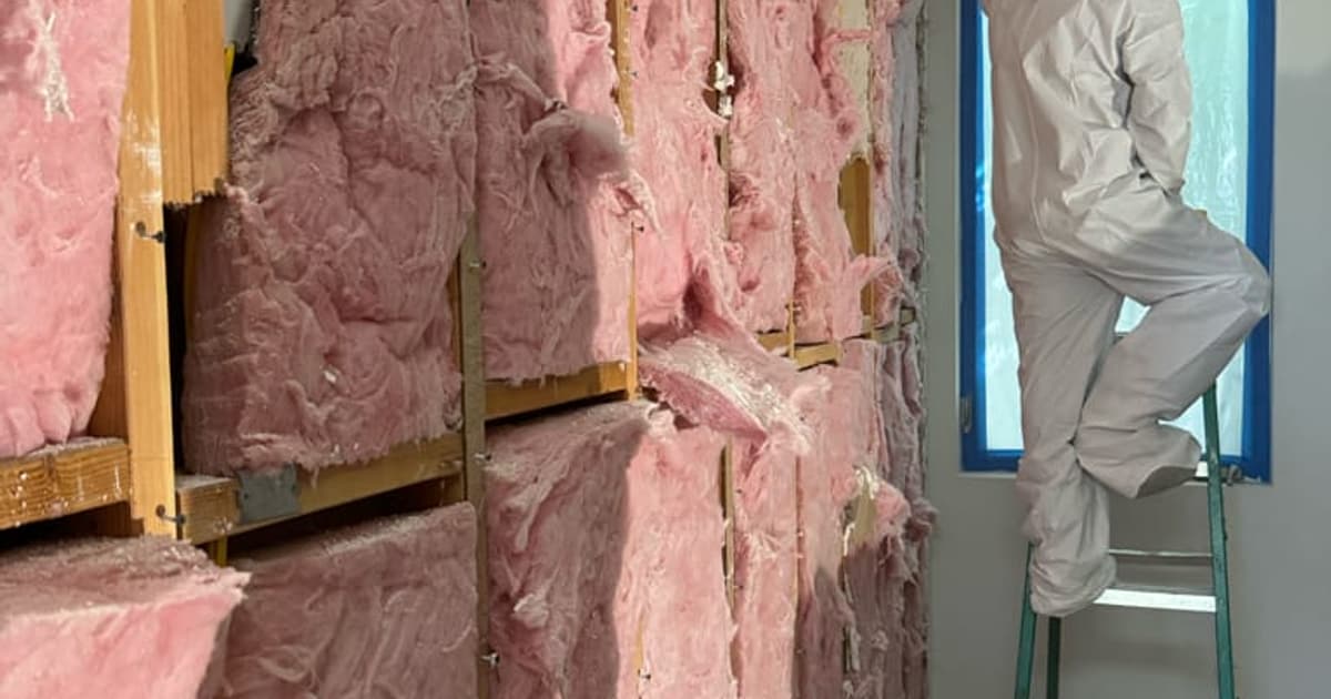 Surface mold in a damp residential area