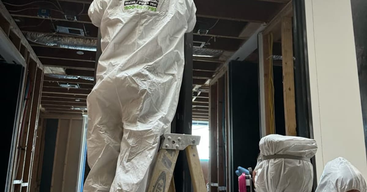 Mold colonisation behind a removed wall section