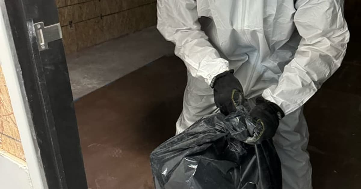 Discoloured drywall showing mold growth