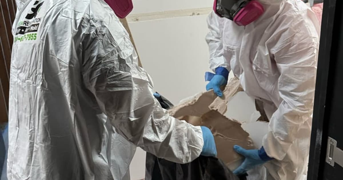 Mold affected material during small-area cleanup