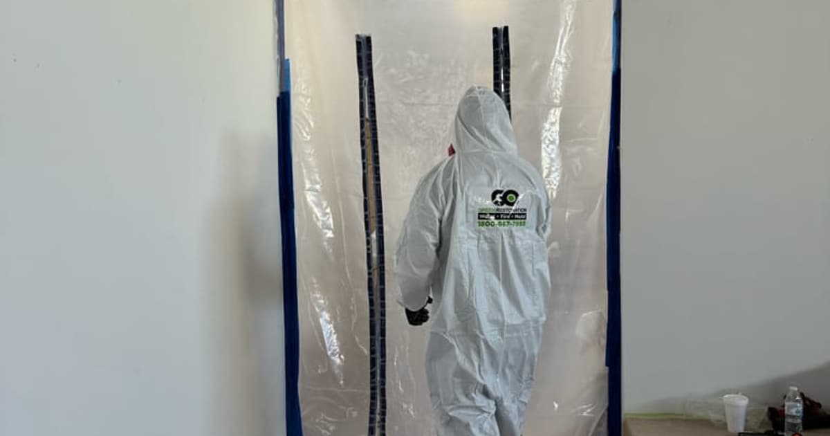 Mold colonisation behind a removed wall section