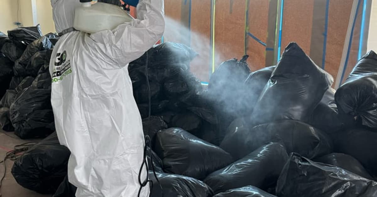 Surface mold in a damp residential area