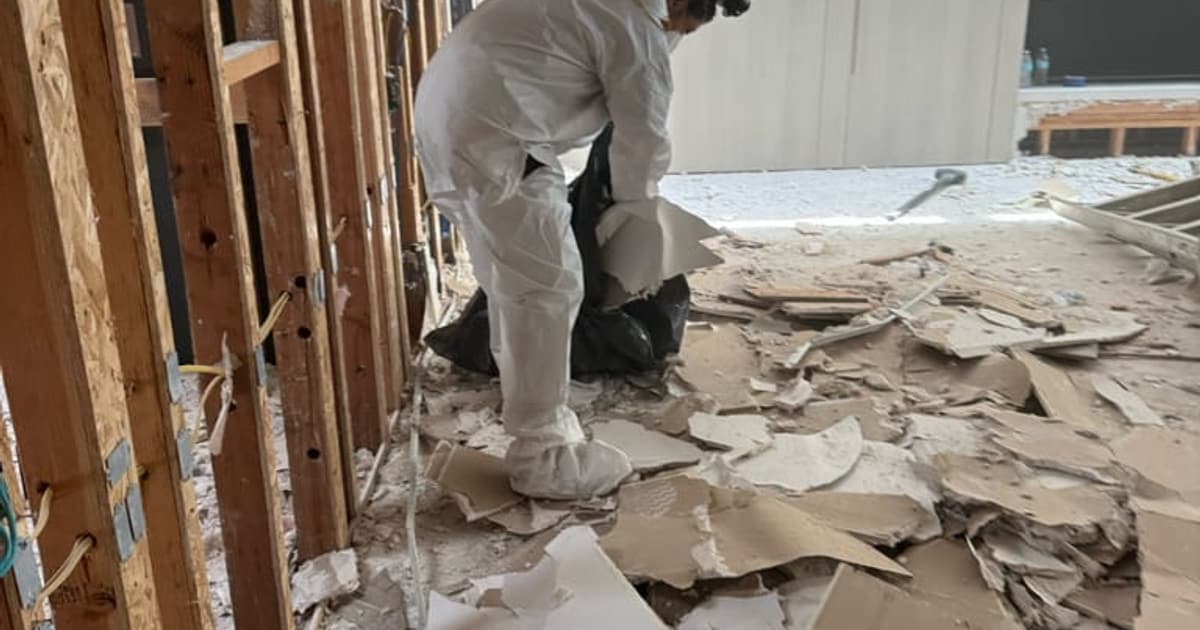 Surface mold in a damp residential area