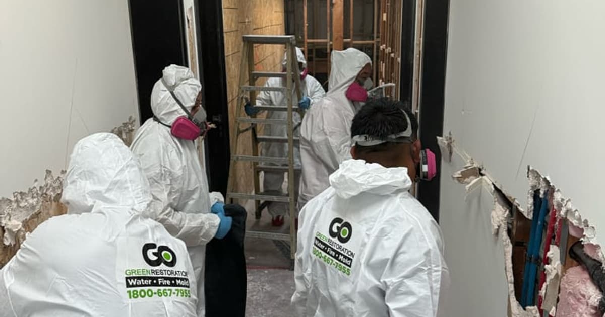 Surface mold in a damp residential area