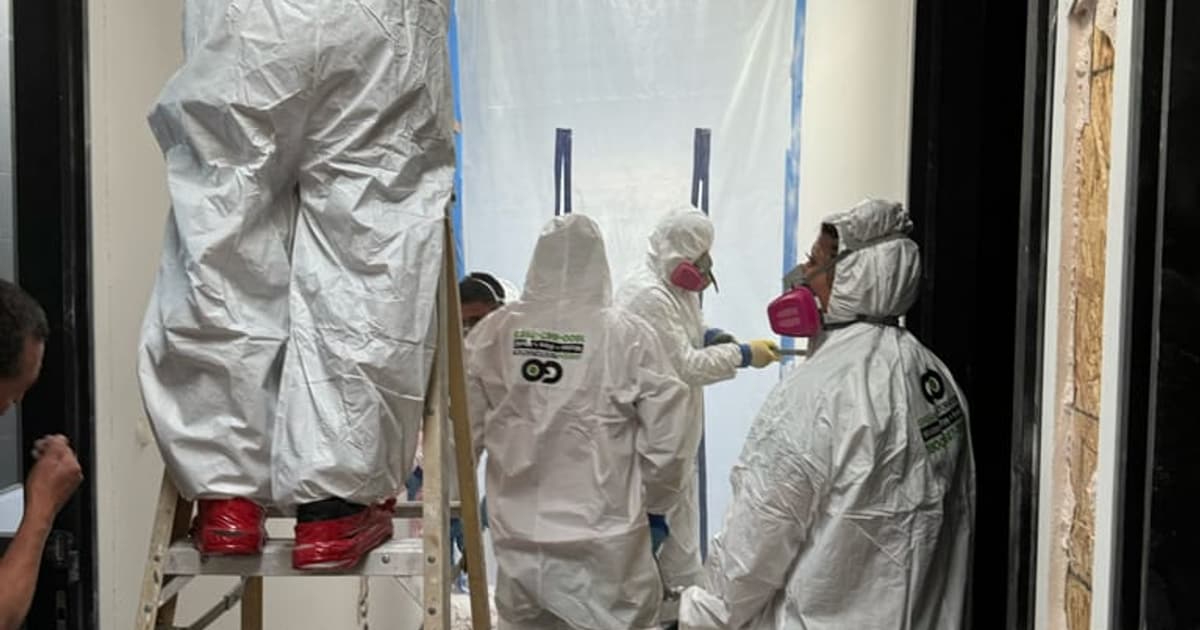 Mold growth on an interior wall surface