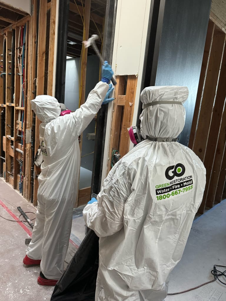 Mold remediation - mold removal in progress