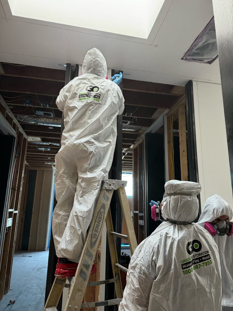 Mold remediation - wall mold treatment