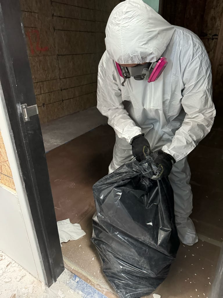 Mold remediation - professional mold cleanup