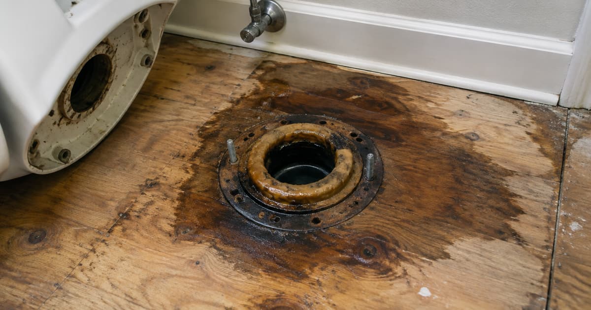 A removed toilet showing the wax ring and water staining on the subfloor