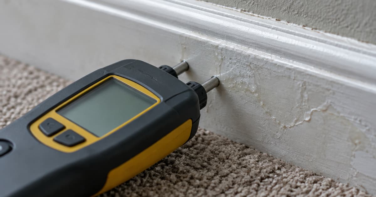 A moisture meter reading a damp baseboard above carpet