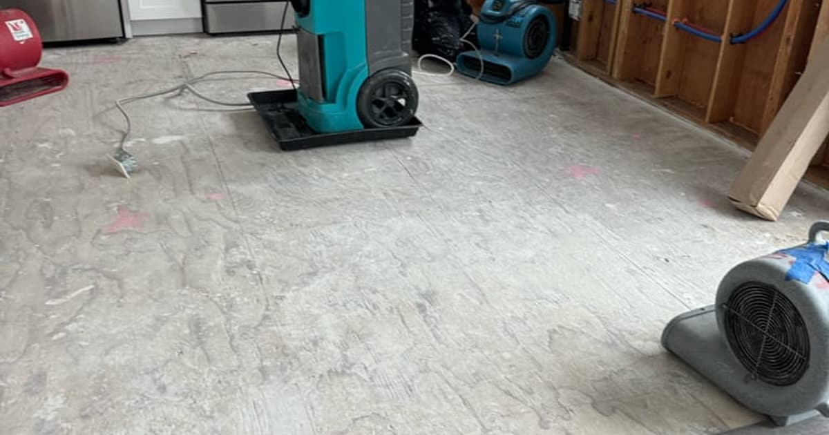 Standing water being extracted from a room