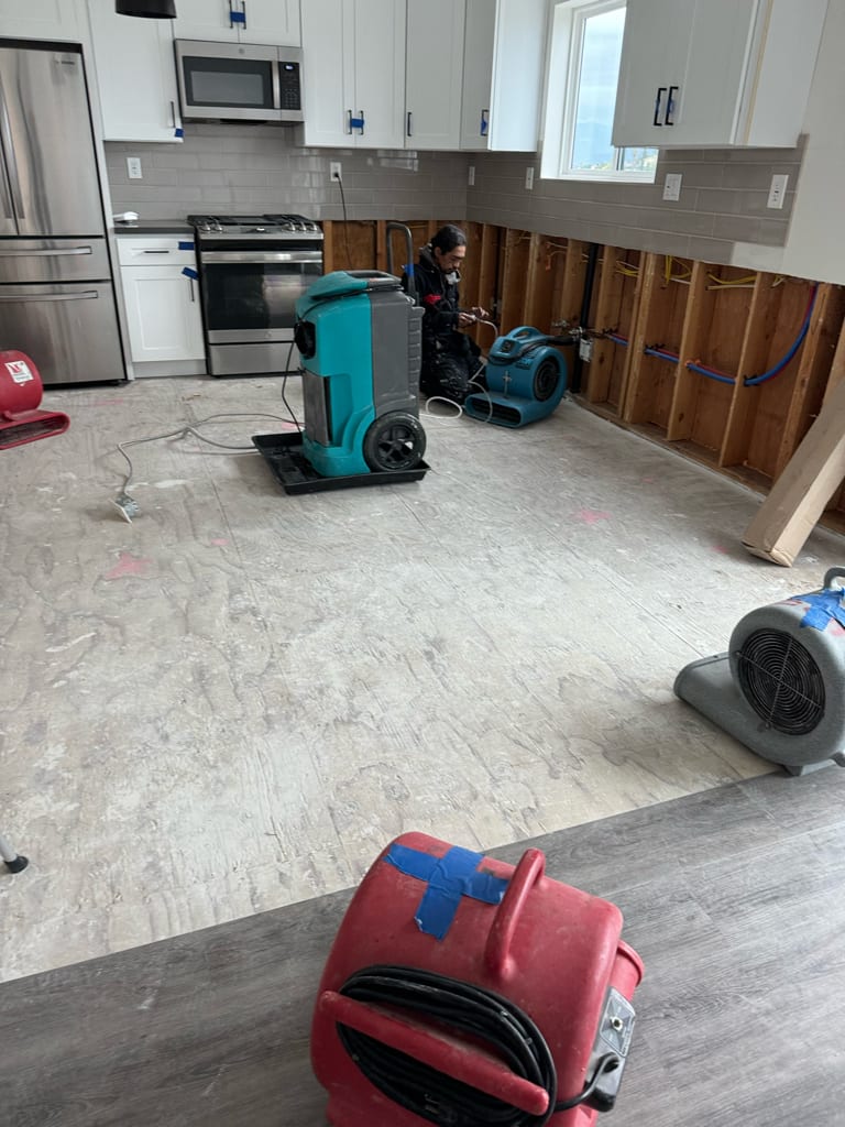Professional water damage extraction equipment